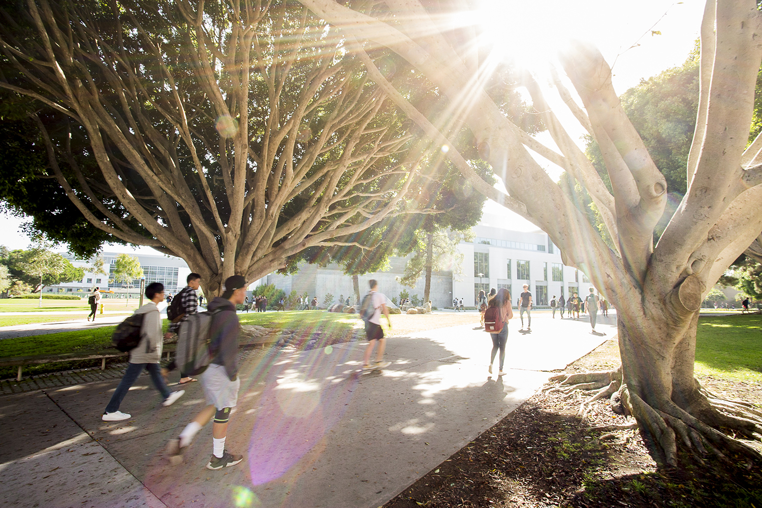 students walking past trees