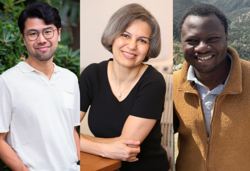 Three junior faculty award recipients