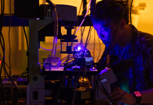 Student working in lab