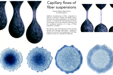Capillary flows of fiber suspensions